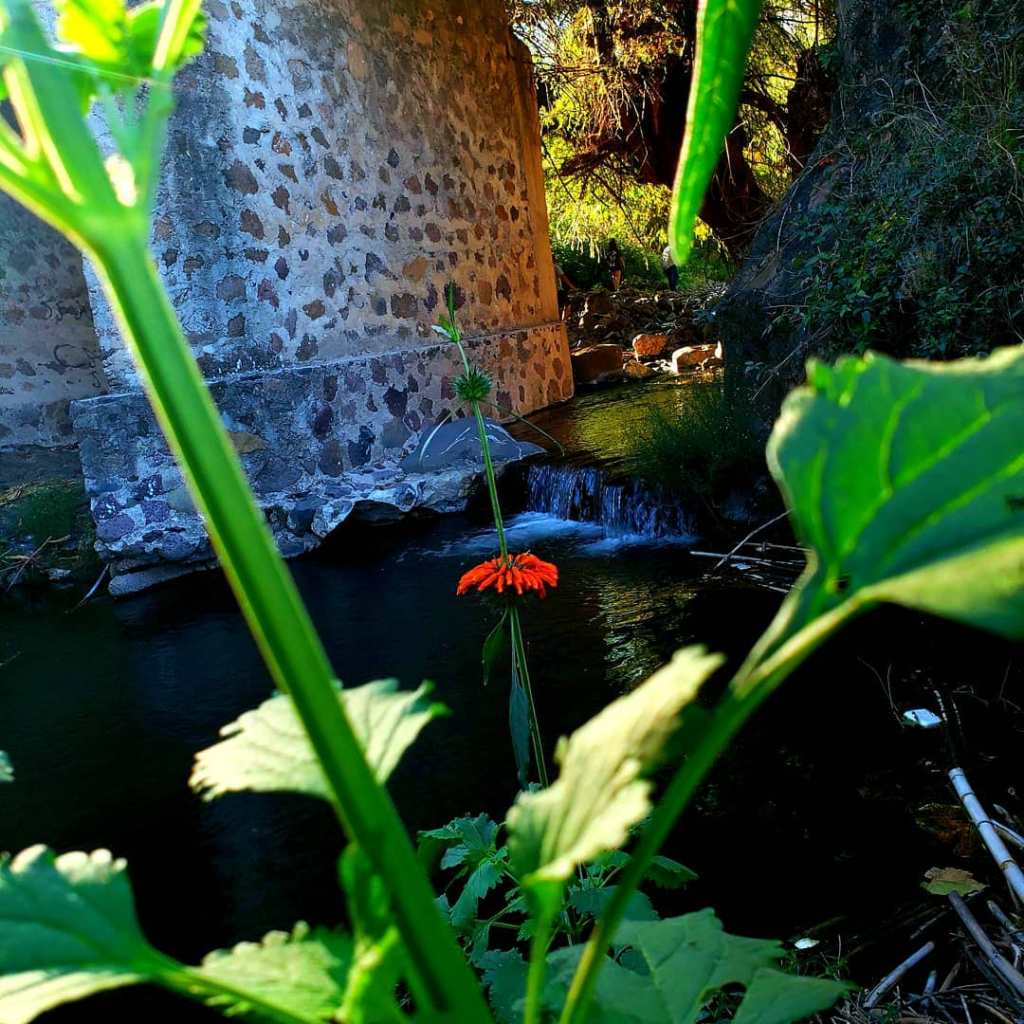 Photography by Edgar Frausto&nbsp;’23